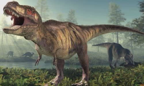 13 great truth about Tyrannosaurus Rex
