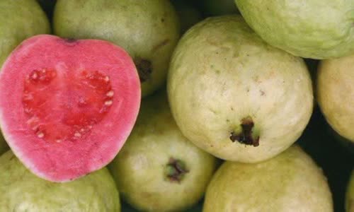 15 Truth Fruits about Guavas