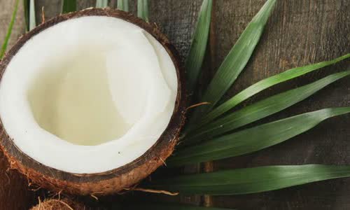 24 truths of coconut