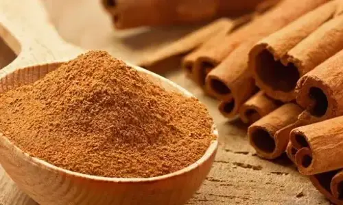 26 Cay truth About Cinnamon
