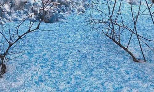 3-biggest-snow-mythology-will-surprise-you