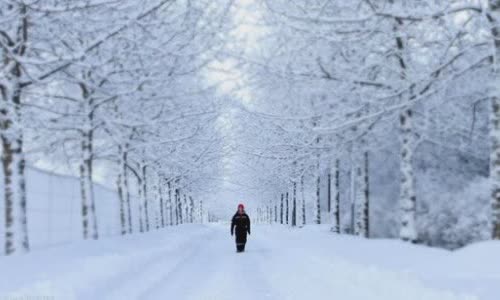 3 biggest snow mythology will surprise you