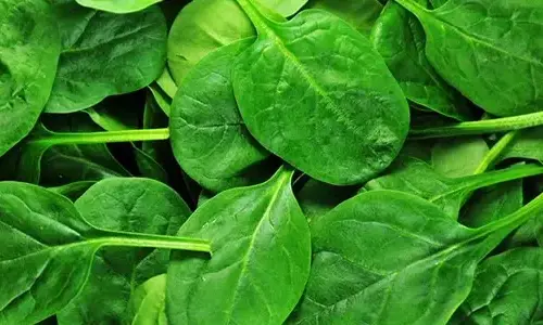 30 amazing facts about spinach
