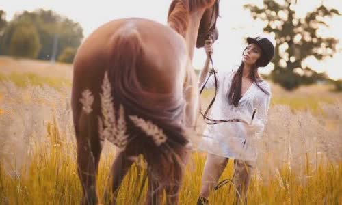 30-interesting-facts-about-horses