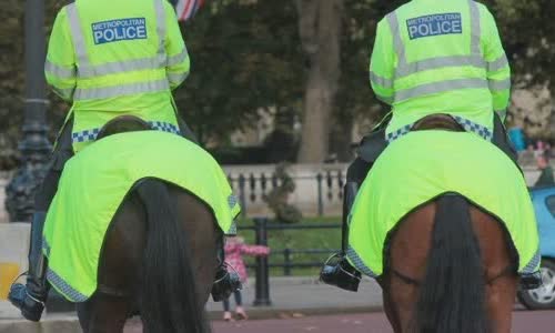 30-interesting-facts-about-horses