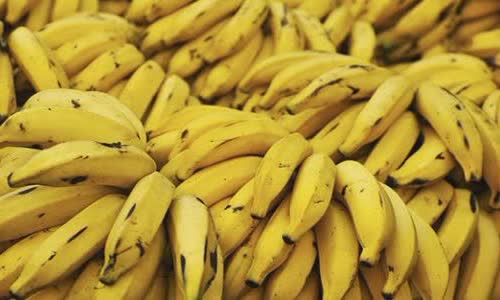 30 The truth about bananas will make you bananas