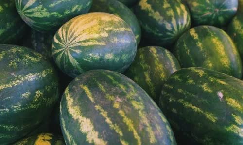 5-truth-watering-mouth-about-watermelon