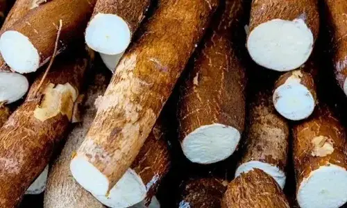 5-unique-food-in-the-world