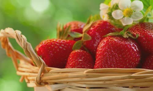 7 Good truth about strawberries