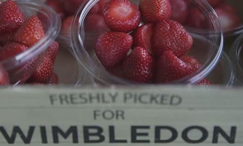 7-good-truth-about-strawberries