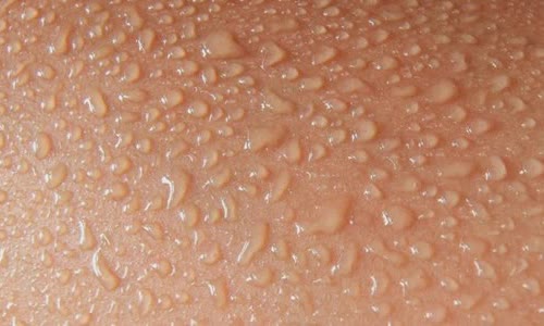 7-holes-of-the-human-body