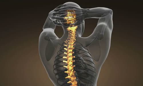 7-holes-of-the-human-body