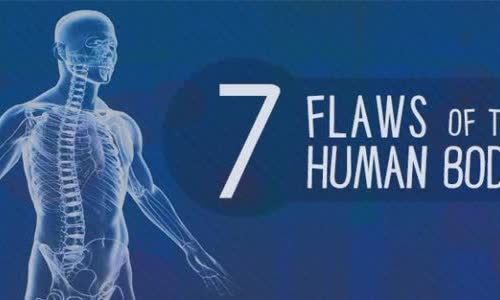 7 holes of the human body