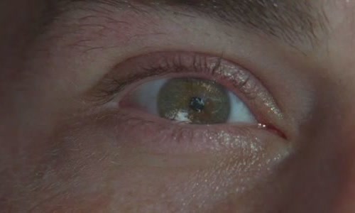 7-holes-of-the-human-body