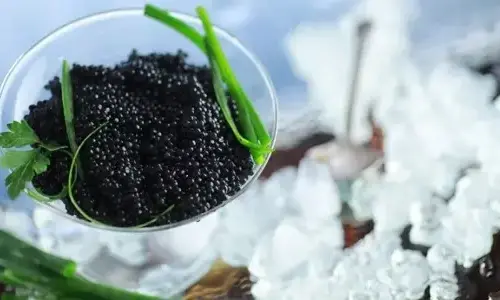 7-most-expensive-foods-in-the-world