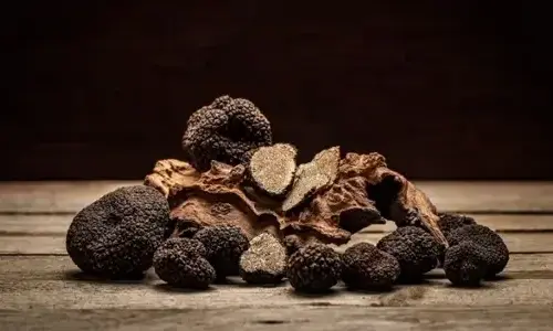 7-most-expensive-foods-in-the-world