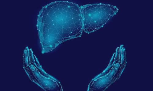 8-interesting-facts-about-your-liver