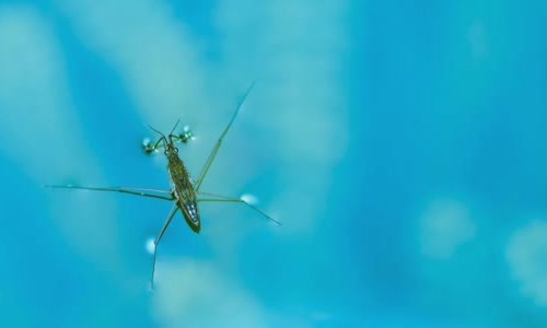 8-scary-truth-about-spiders