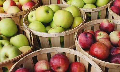 9-interesting-facts-about-apples