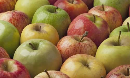 9-interesting-facts-about-apples