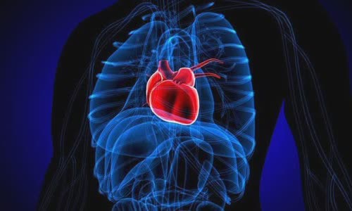 can-you-die-for-a-broken-heart