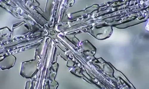 cool-truth-about-snowflakes