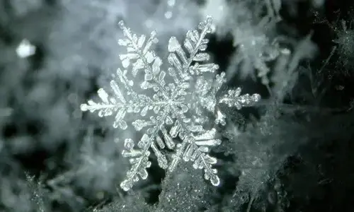 Cool truth about snowflakes