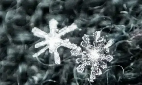 cool-truth-about-snowflakes