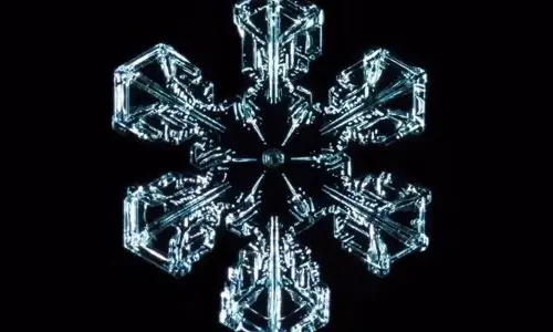 cool-truth-about-snowflakes