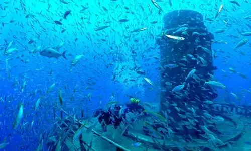 great-carrier-reef-the-largest-built-reef-ever