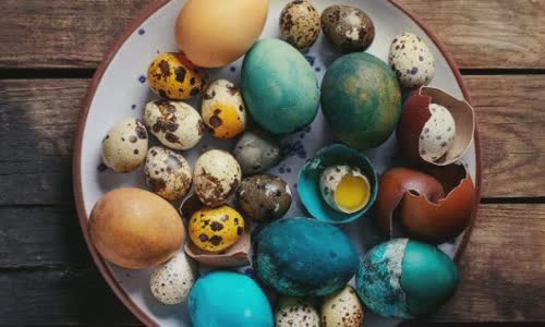 half-a-dozen-egg-events-are-really-cracked