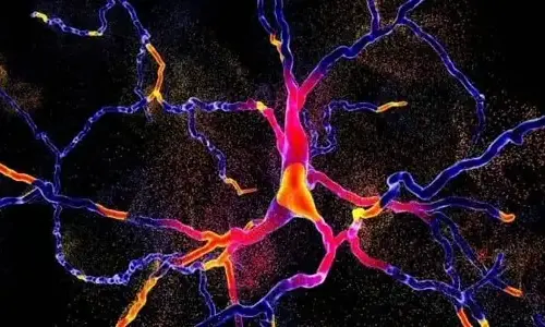 how-does-classical-music-affect-the-brain