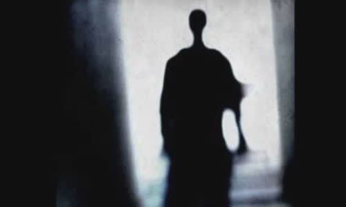 How much is a shadow?