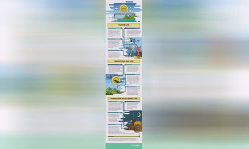 how-sun-control-infographic-nature