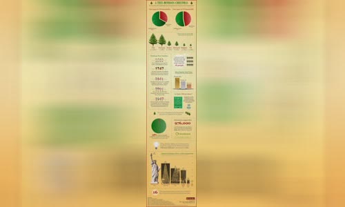 information-about-christmas-trees-and-infographic-statistics
