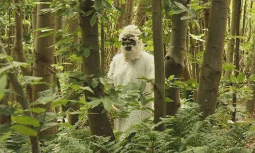 Origin of Yeti