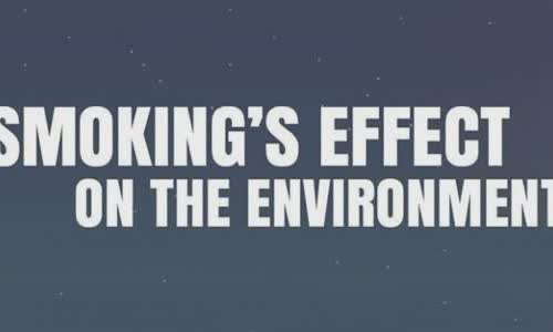 Smoking affects the environment [Infographic]