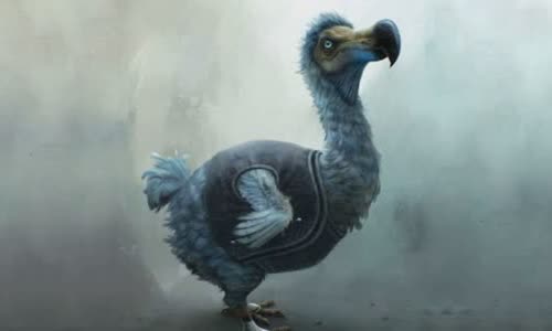 the-truth-about-dodo-and-its-extinction