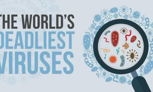 The world's most dangerous virus infographic