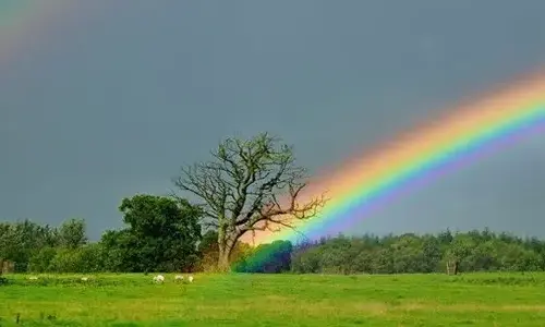 Truth about rainbow