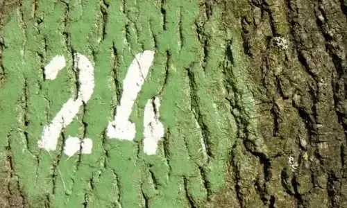 Twenty-four events on number 24