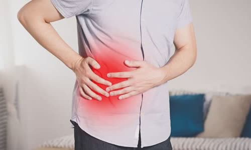 what-is-the-appendix