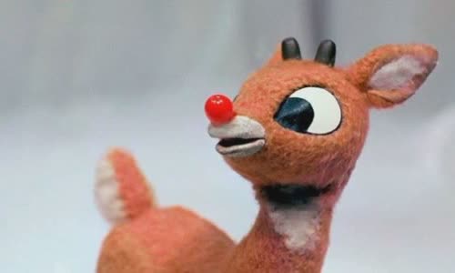 10 brilliant truth about Rudolph red nose reindeer