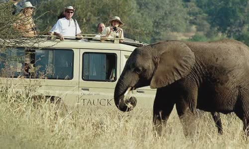 10-wild-truth-about-kenya