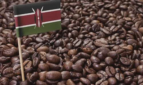 10-wild-truth-about-kenya