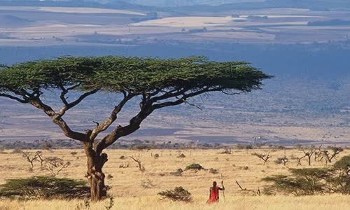 10-wild-truth-about-kenya