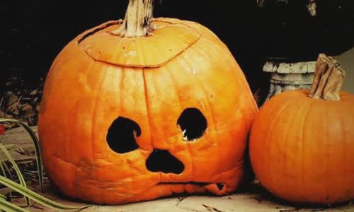 100-really-obsessed-halloween