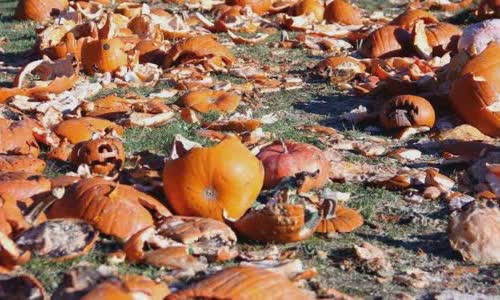 100-really-obsessed-halloween