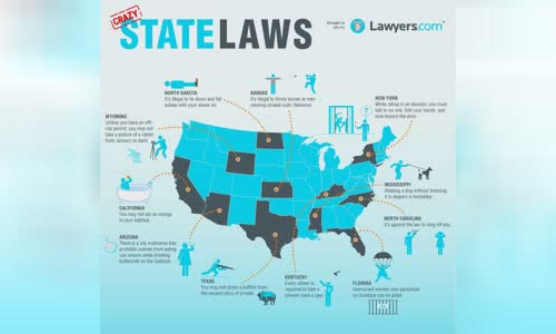 11-infographic-crazy-state-law