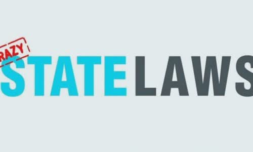 11 Infographic crazy state law